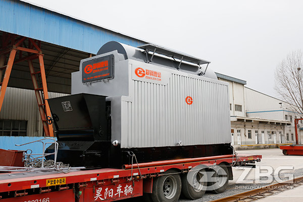 DZL biomass boiler